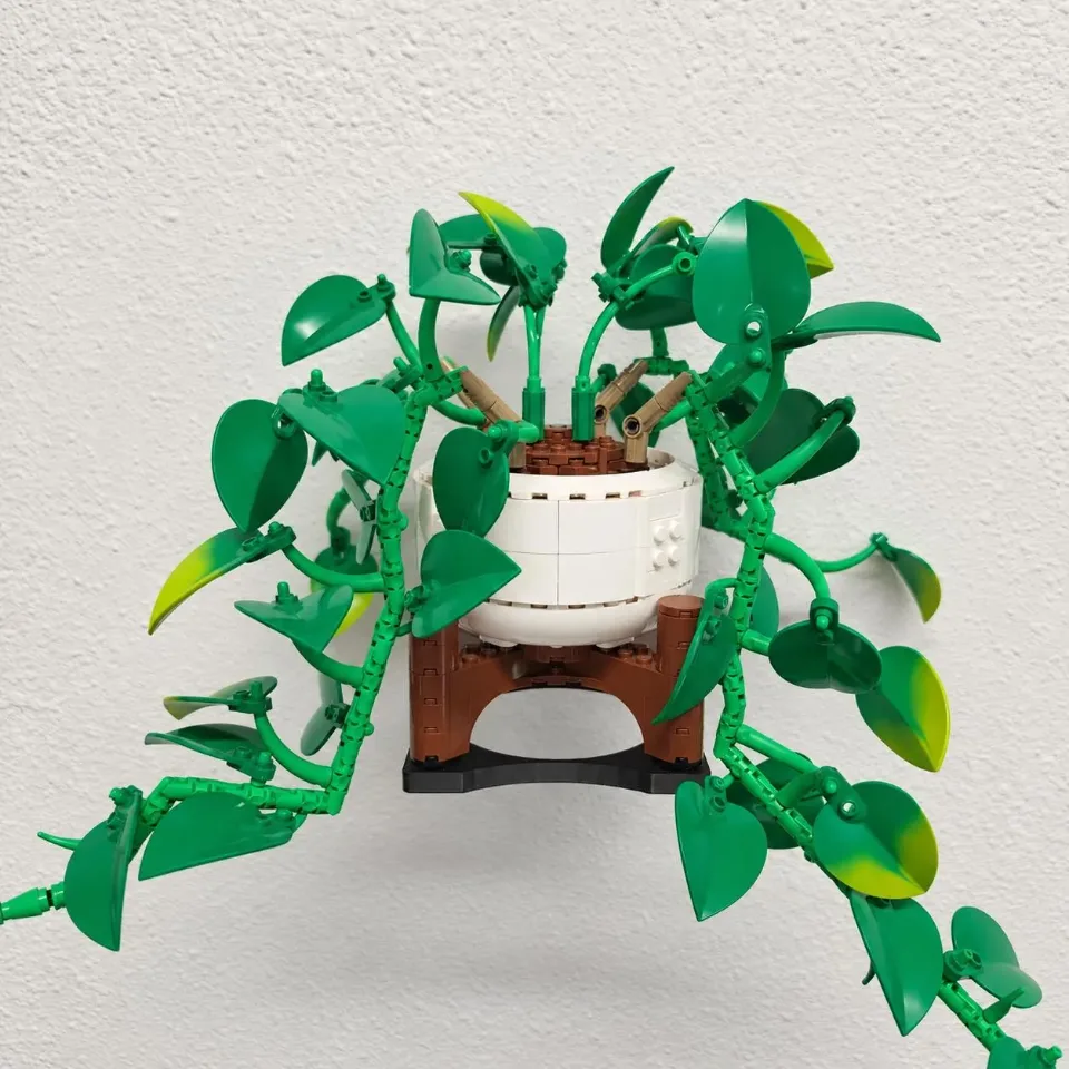Hanging Golden Pothos (11512) — wall mount