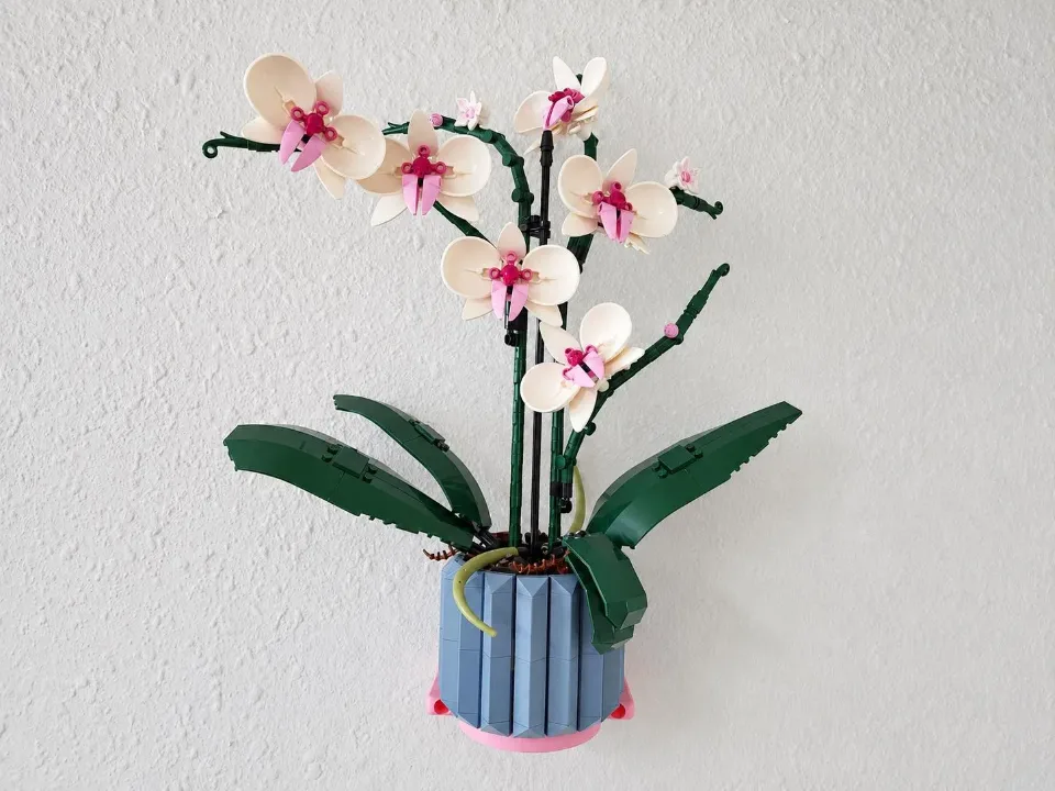Orchid (10311) — wall mount