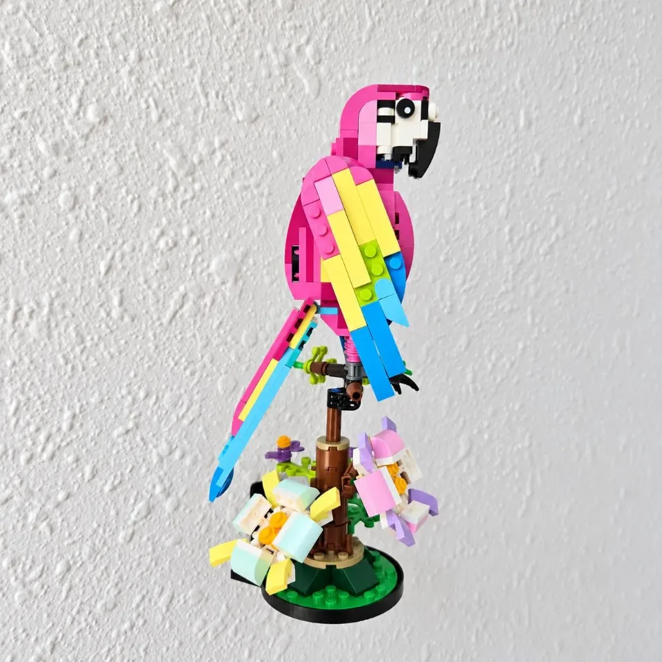 Exotic Parrot (31136) — wall mount