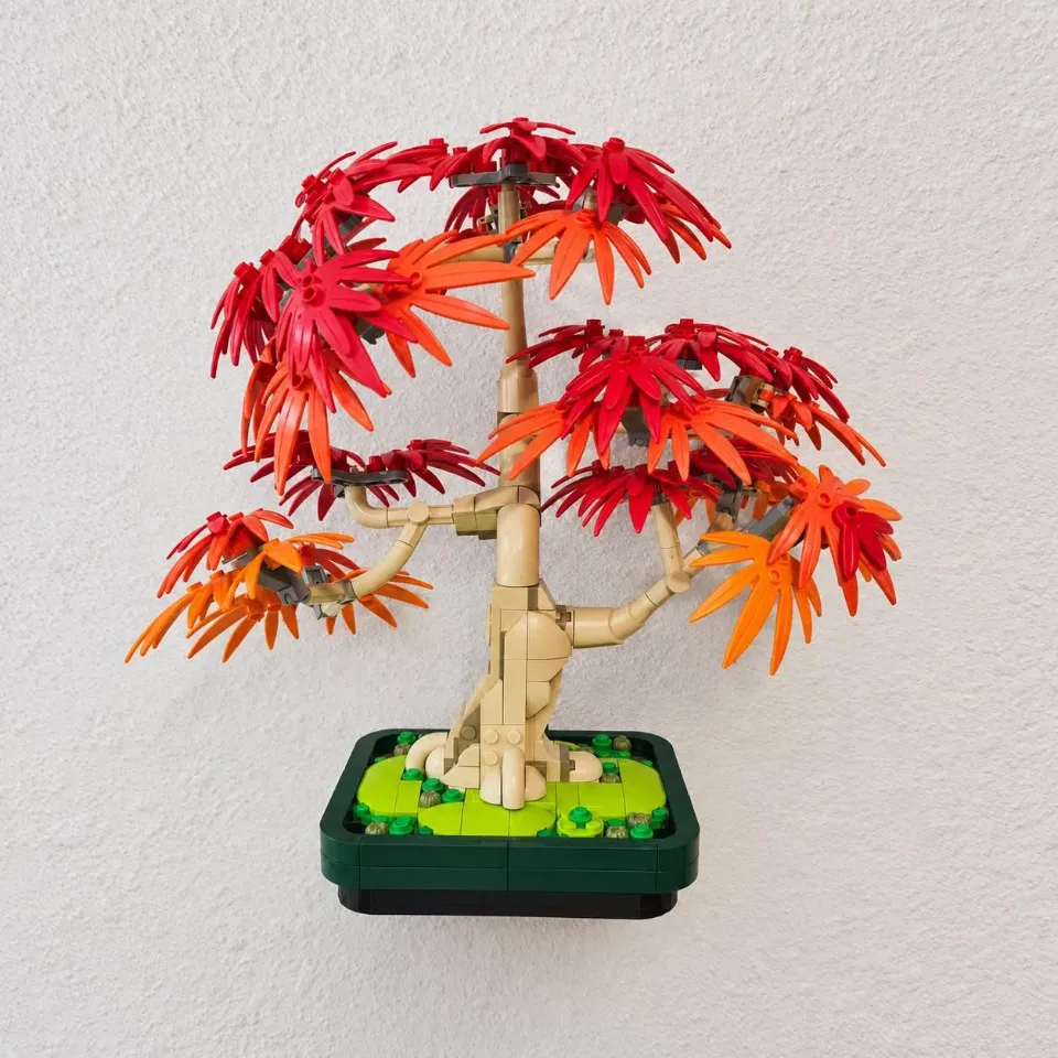 Japanese Red Maple Bonsai Tree (10348) — wall mount