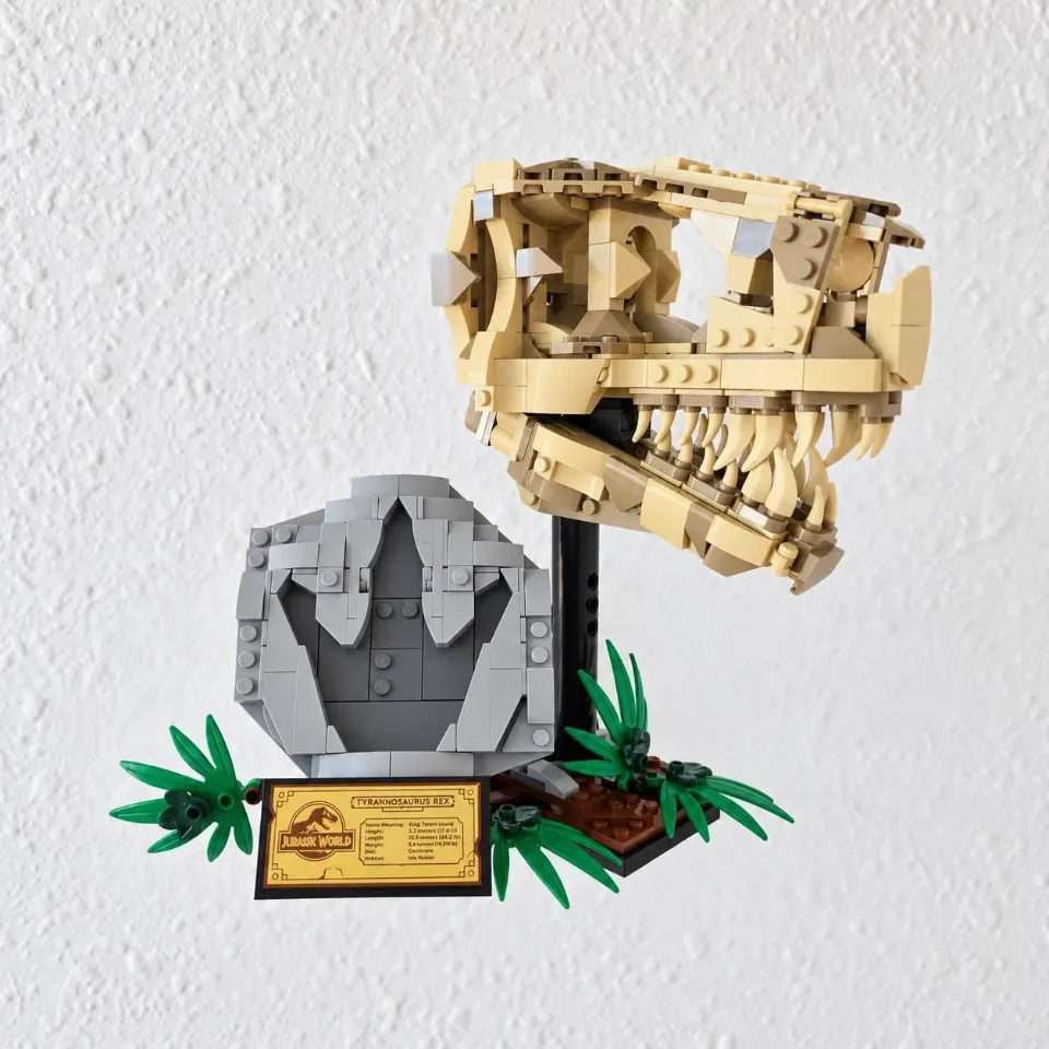 T. rex Skull (76964) — tray wall mount